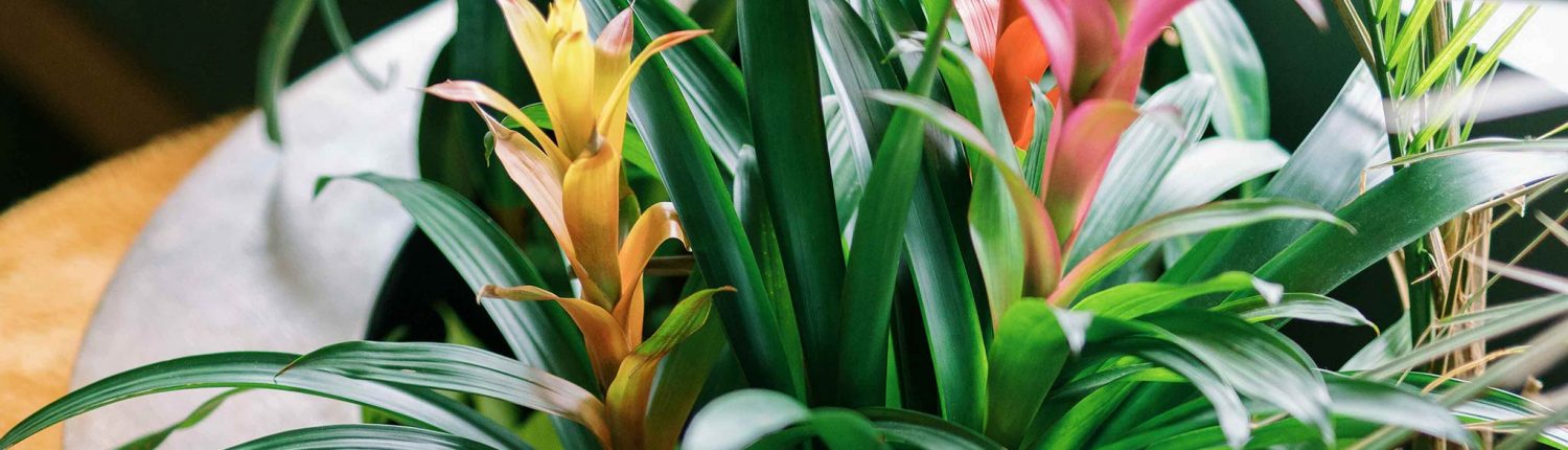 Stroke-Fun-Things-To-Do-Charlotte-12